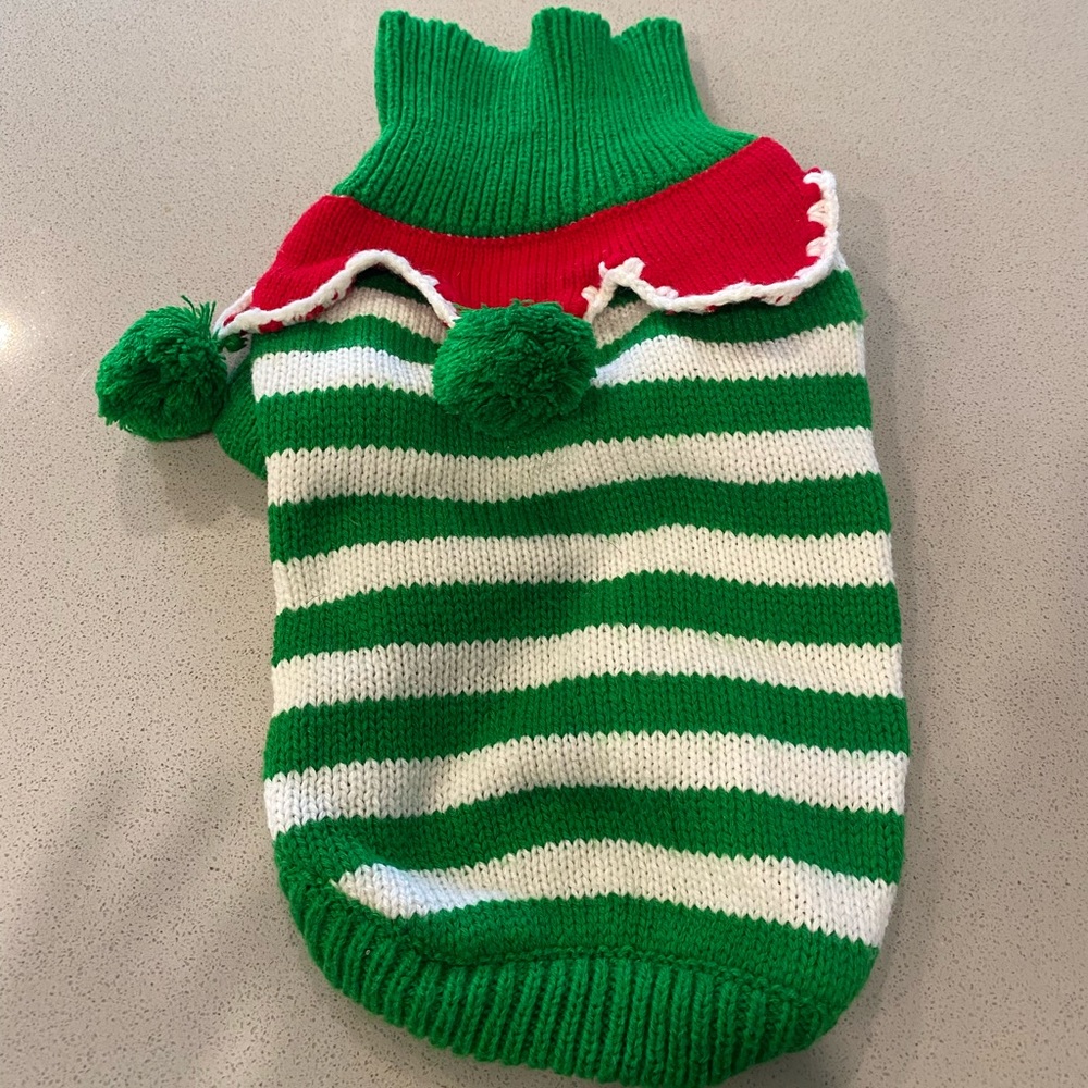 Elf dog outfit